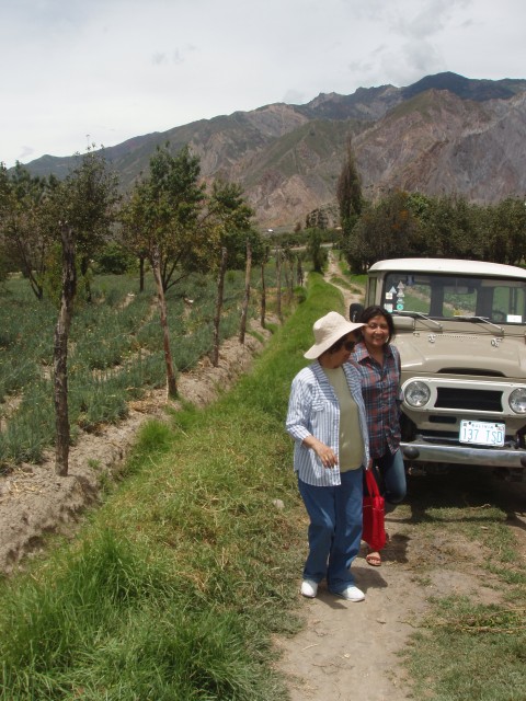 P1060009.JPG