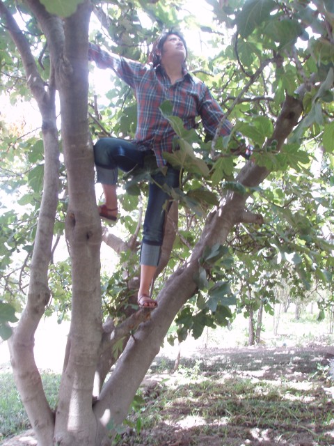 P1060014.JPG