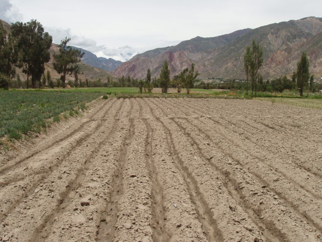P1060017.JPG