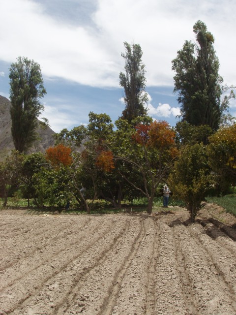 P1060018.JPG