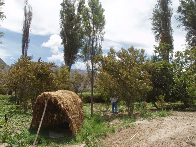 P1060020.JPG