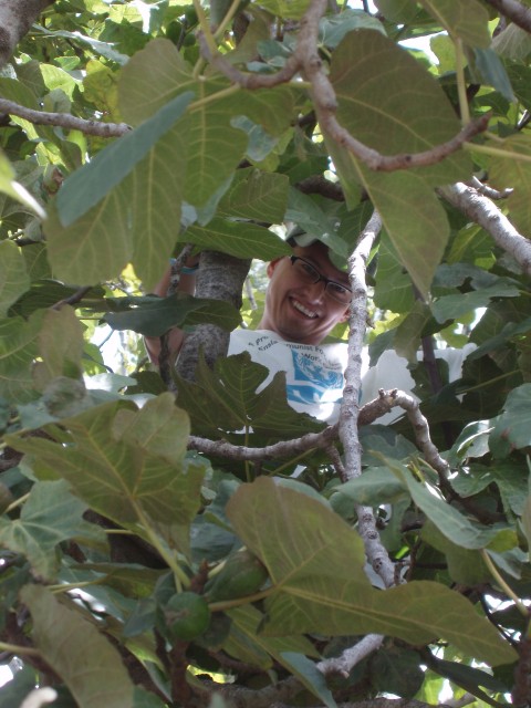 P1060024.JPG