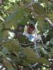 P1060024_thumb.JPG