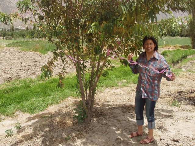 P1060026.JPG