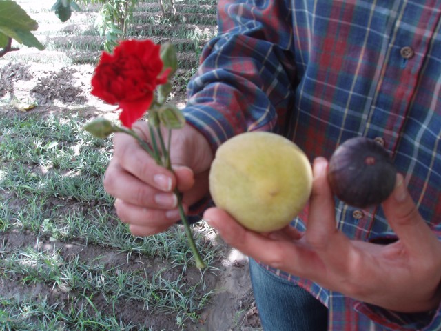 P1060030.JPG