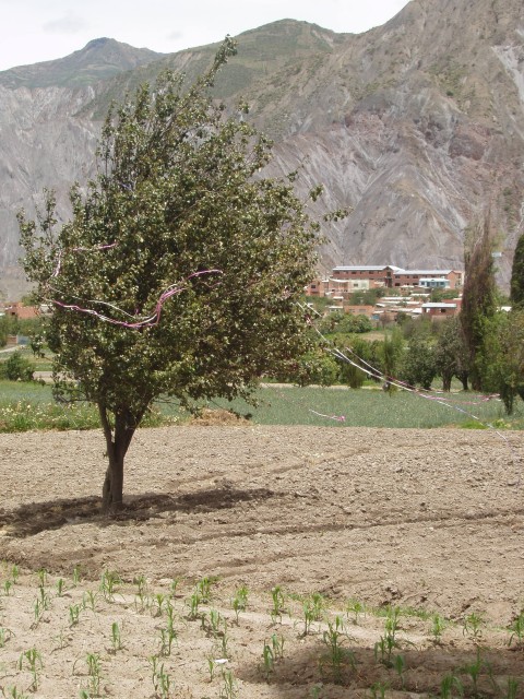P1060034.JPG