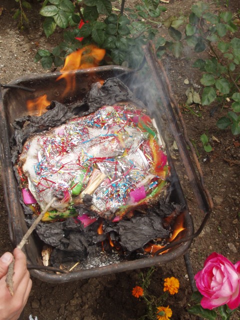 P1070055.JPG