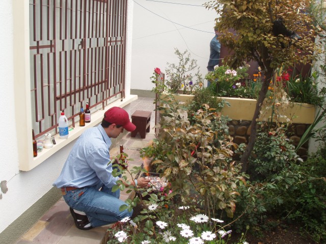 P1070056.JPG