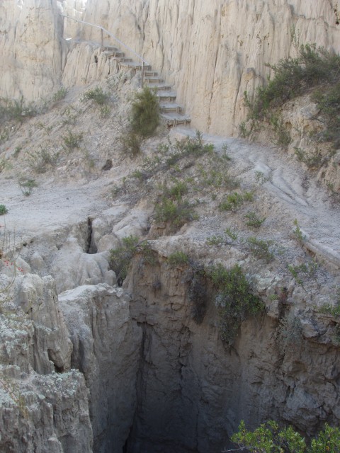 P1100163.JPG