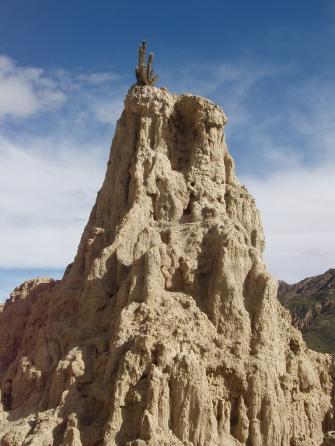 P1100165.JPG