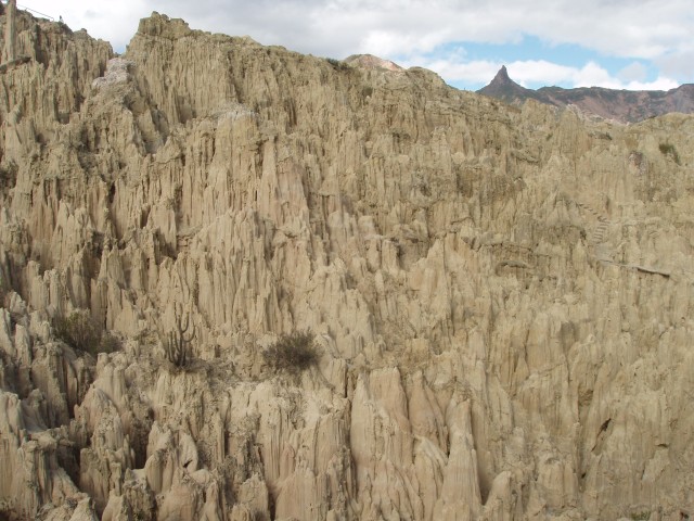 P1100170.JPG