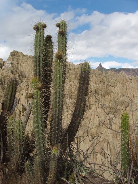 P1100171.JPG