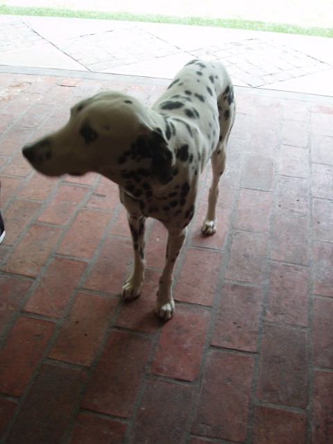 P1110229.JPG
