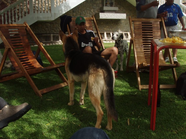 P1110247.JPG