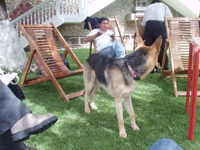P1110250.JPG