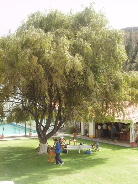 P1110254.JPG