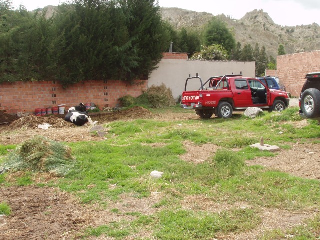 P1110257.JPG