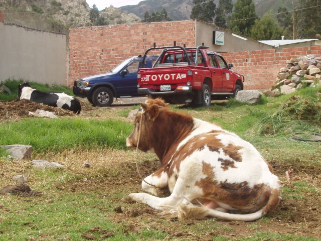 P1110258.JPG