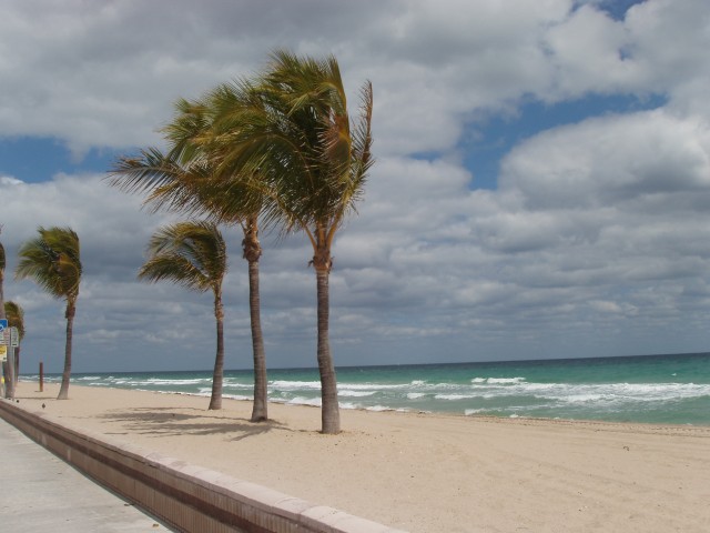 P1160010.JPG