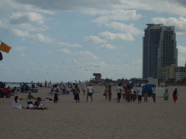 P1160058.JPG