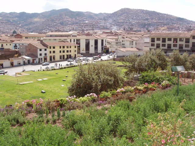 p1010114.jpg