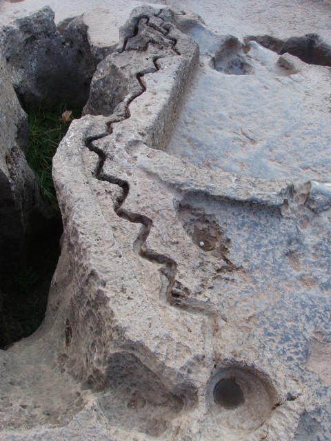 p1010157.jpg