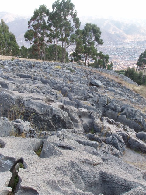 p1010158.jpg