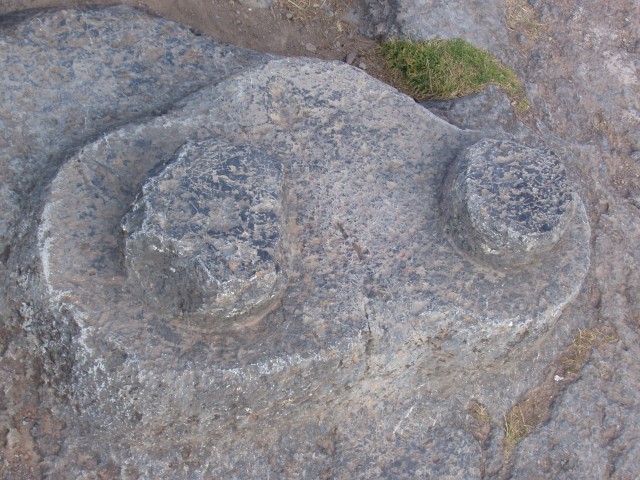 p1010159.jpg