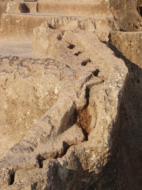 p1010160.jpg