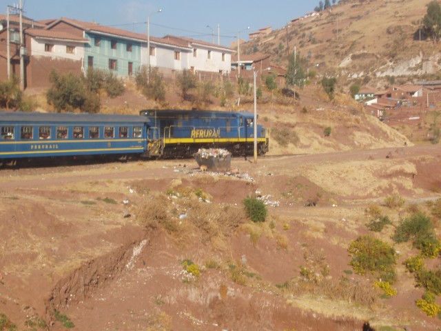 p1010197.jpg