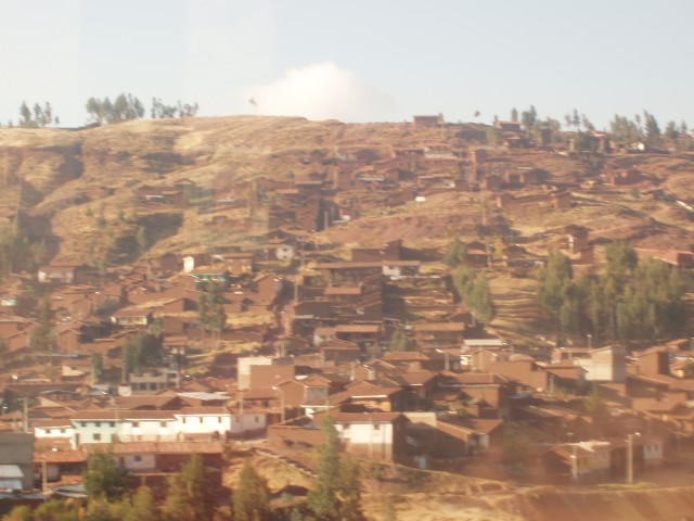 p1010203.jpg