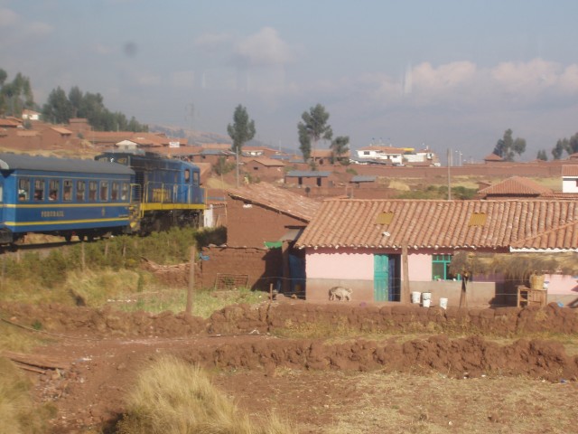 p1010205.jpg