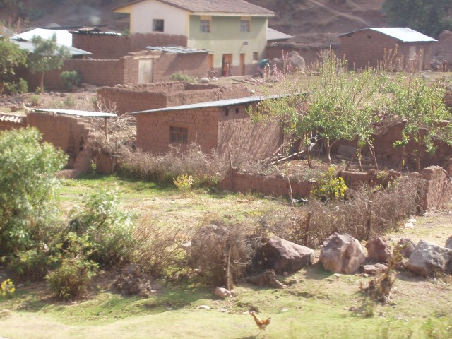 p1010206.jpg