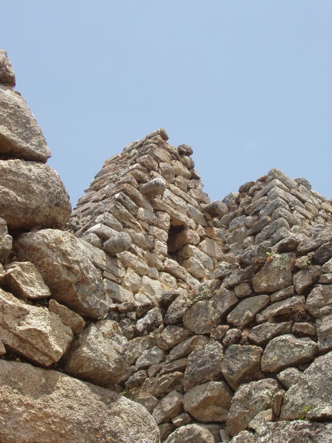 p1010237.jpg