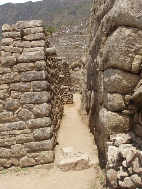 p1010238.jpg