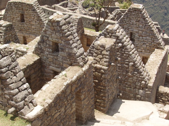 p1010239.jpg