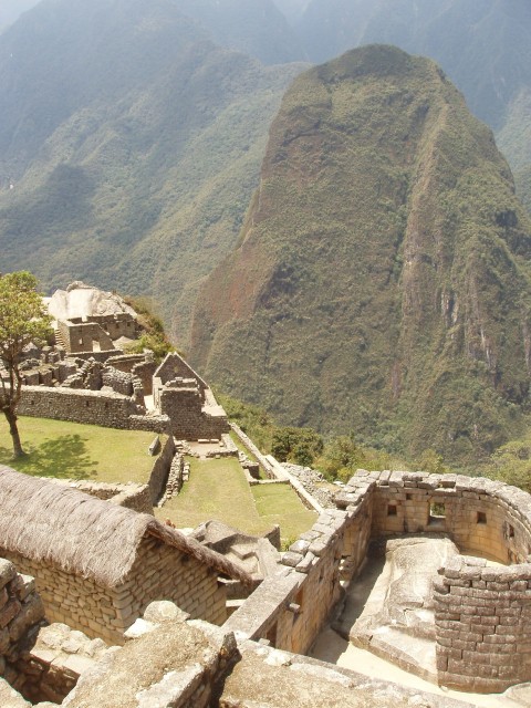 p1010241.jpg