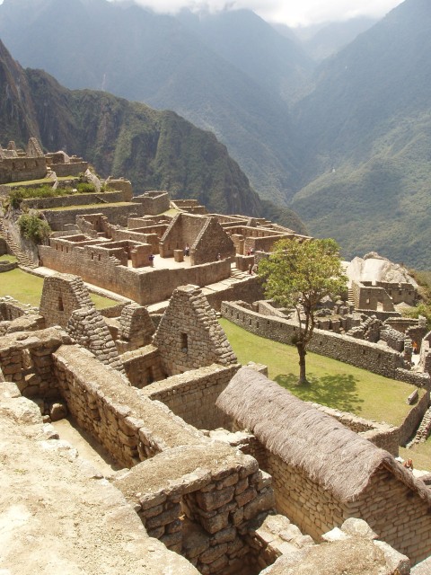 p1010242.jpg