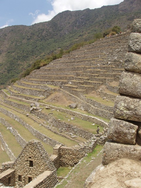 p1010243.jpg