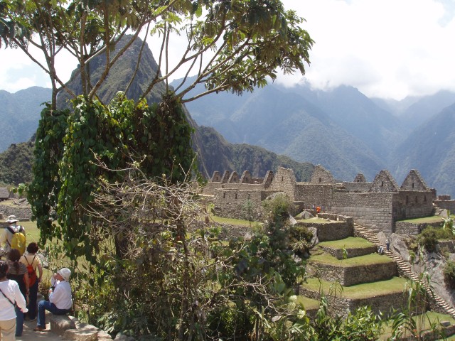 p1010245.jpg