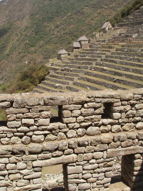p1010263.jpg