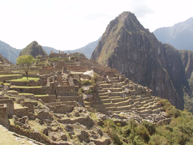p1010265.jpg