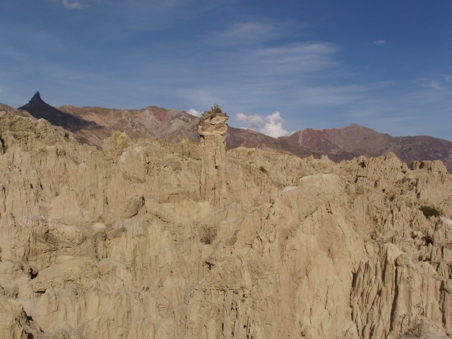 p1010375.jpg