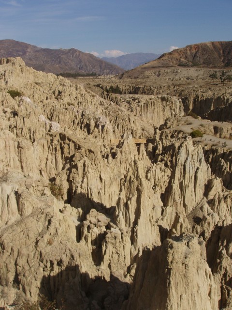 p1010376.jpg