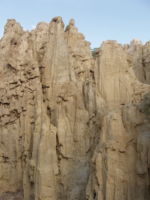 p1010382.jpg