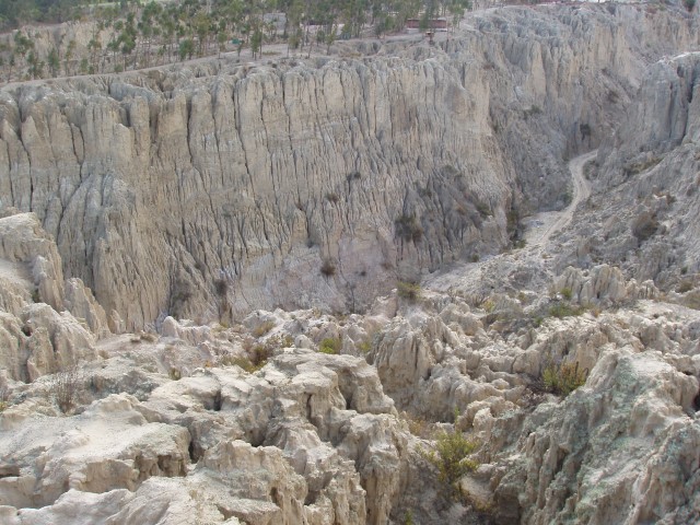 p1010387.jpg