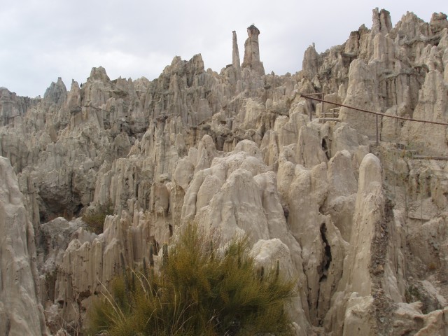 p1010390.jpg