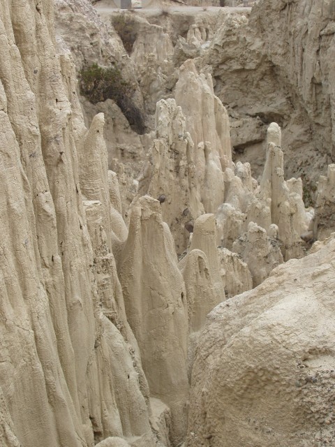 p1010393.jpg