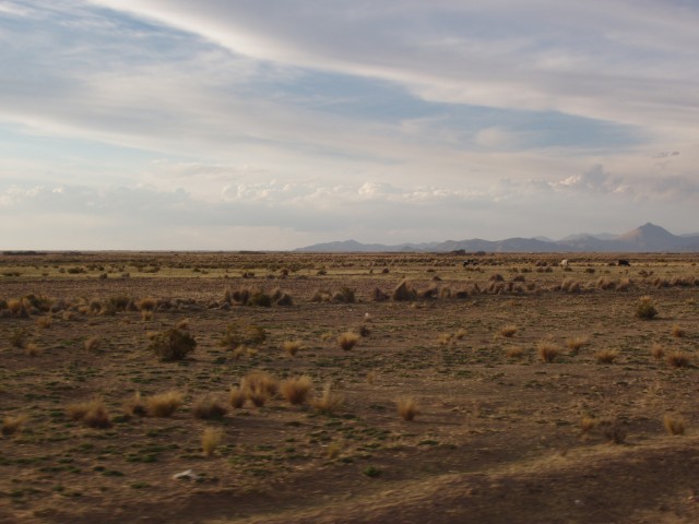 p1010098.jpg