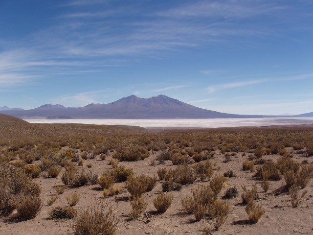 p1010260.jpg